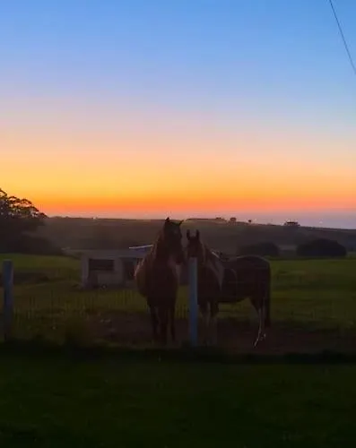 Apartment -rincon Del Sol-