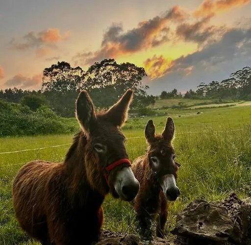 -rincon Del Sol- Apartment