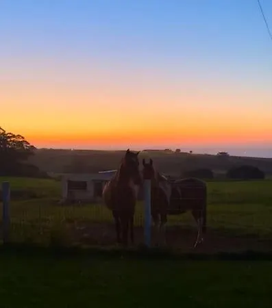 Lejlighed -rincon Del Sol-