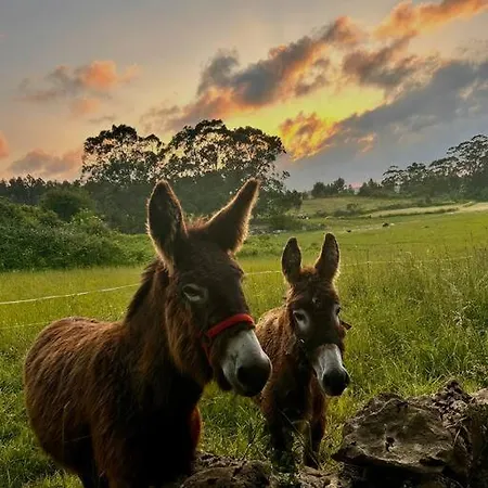 -rincon Del Sol- Lejlighed