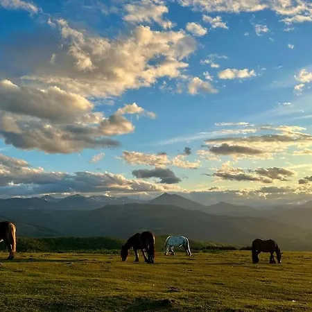 Lejlighed -rincon Del Sol-