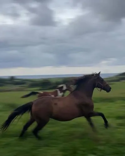 -rincon Del Sol- Suances